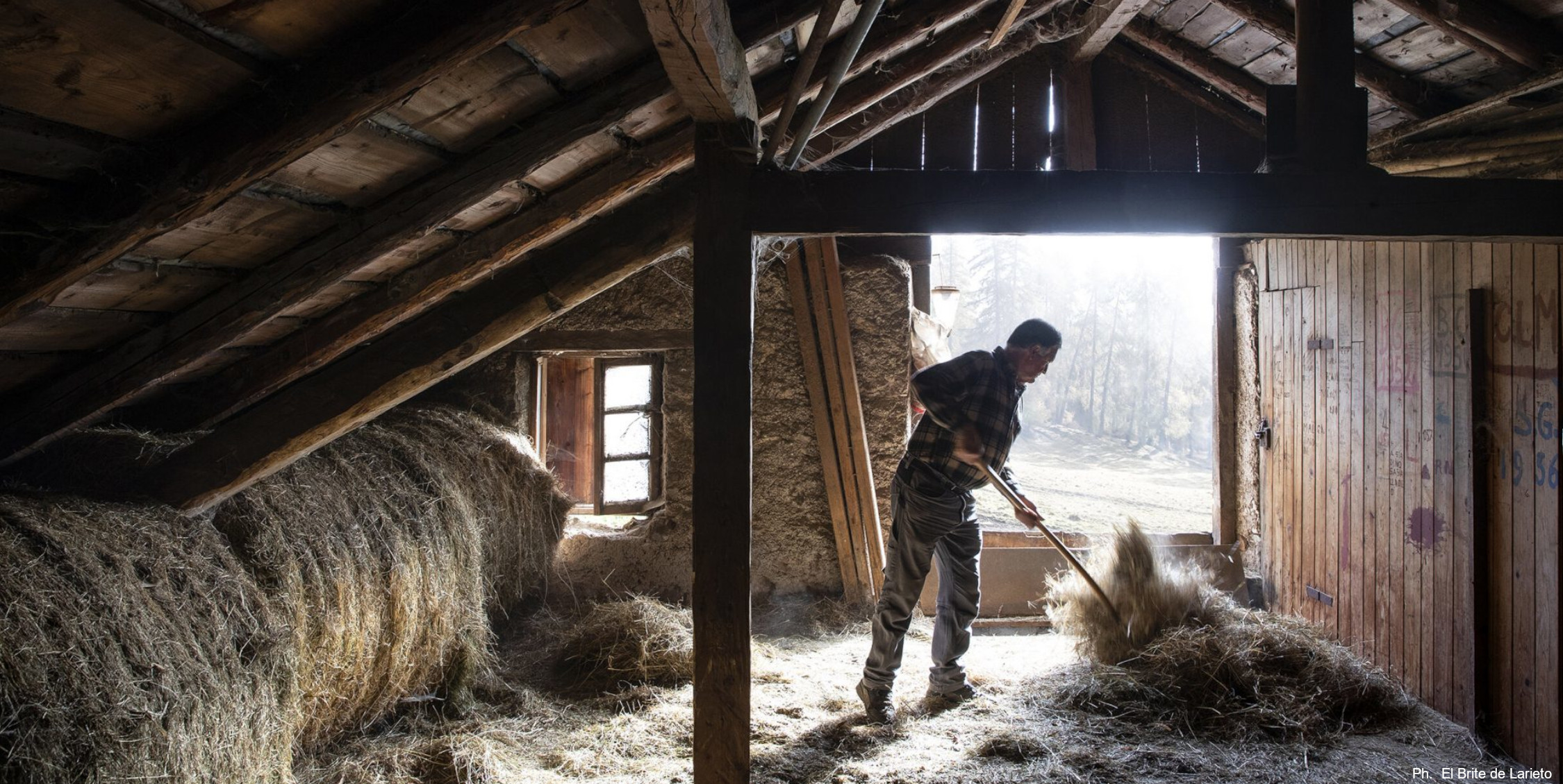 Quality producers and products in the UNESCO Dolomites. Pictured: work in a barn.